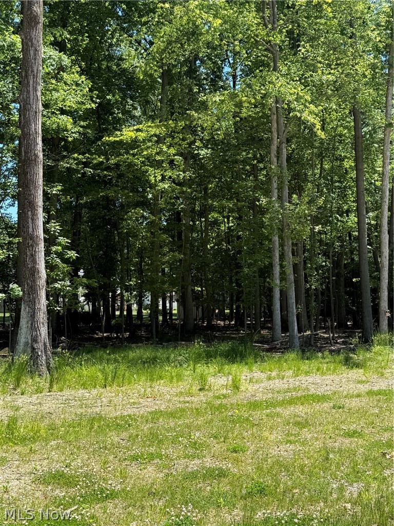Let Cassell build a house for you on this beautiful wooded 0.44 acre lot on a quiet cul-de-sac in The Woodlands.  Imagine the house you could build on a 120x161 lot!  Public Water.  Public Sewer.  No assessments.  Deed restrictions require minimum 1800sf for a ranch and minimum 2200sf for a 2-story home.  Cassell is a custom builder, so bring your plans, or use one of ours.