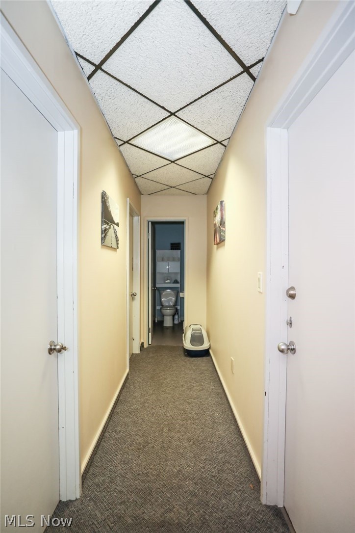 Ravenna - Commercial Lease