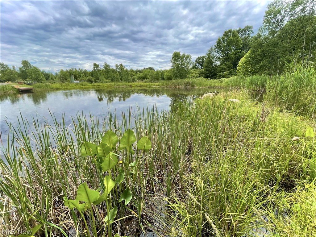 Liberty Township Sec 06 - Land
