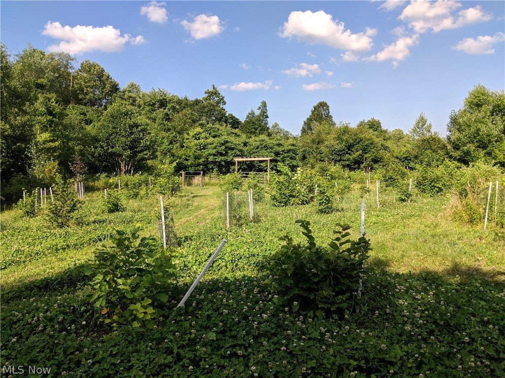 Liberty Township Sec 06 - Land
