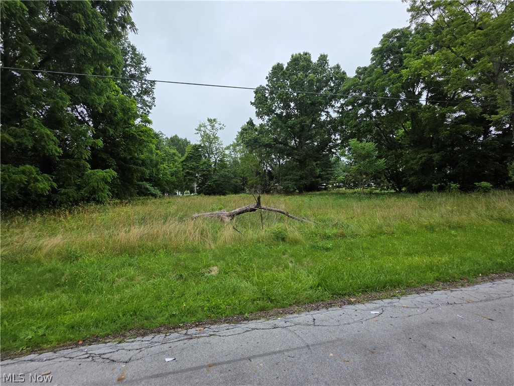 Build the home you've been dreaming of on this beautiful 0.92-acre residential lot. Offering nearly an acre of land, this property provides the perfect balance of privacy and convenience. Nestled in an established area with easy access to shopping, dining, schools, and major highways, you'll enjoy a peaceful setting while remaining close to everyday amenities. Whether you're planning a custom home or looking for a future investment opportunity, this spacious parcel offers plenty of room for your vision to come to life. Bring your builder and start planning your future today! Don't miss this rare opportunity to own a generously sized home site in a desirable location!