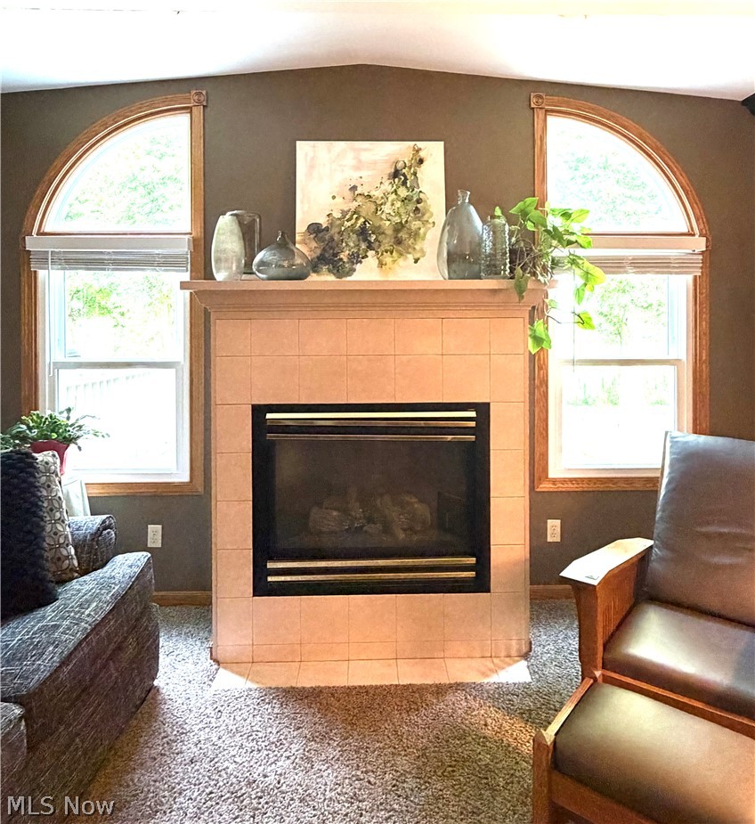Springbrook - Residential