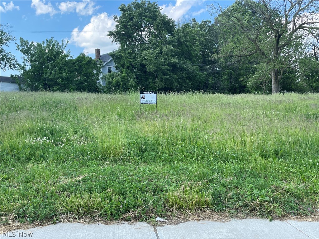 Opportunity awaits with this residential vacant lot located in a developing area of Cleveland. Whether you’re an investor, builder, or future homeowner, this parcel offers the potential to build a single-family home, income-producing property, or hold as a long-term investment. Conveniently situated near schools, shopping, public transportation, and major highways, the location provides easy access to downtown Cleveland and surrounding communities. Utilities are available in the area. Bring your vision and make the most of this affordable land opportunity. Buyer to perform their own due diligence regarding zoning, utilities, and intended use.