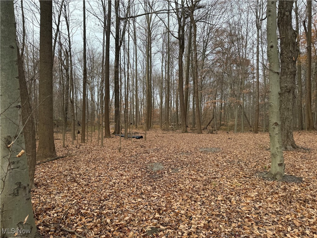 Mh Co - Land