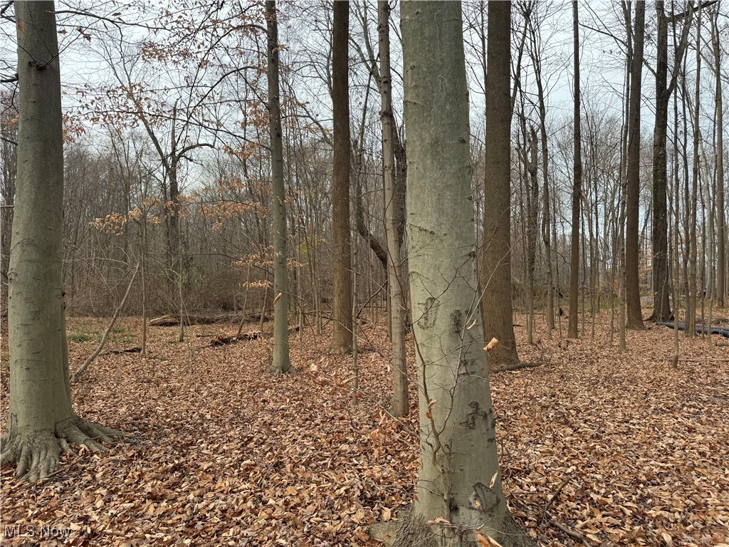 Mh Co - Land