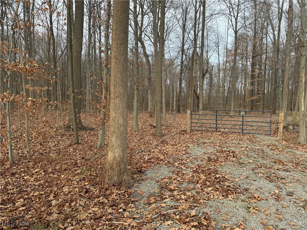 Mh Co - Land