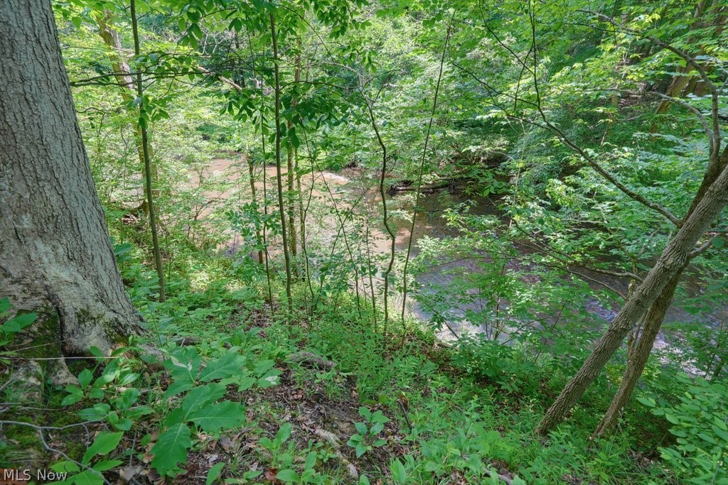 Aurora - Land