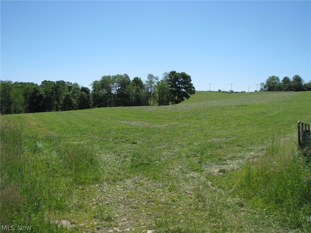 Great 3 acre parcel for building your dream home.  Lots of potential in the heart of farm country.