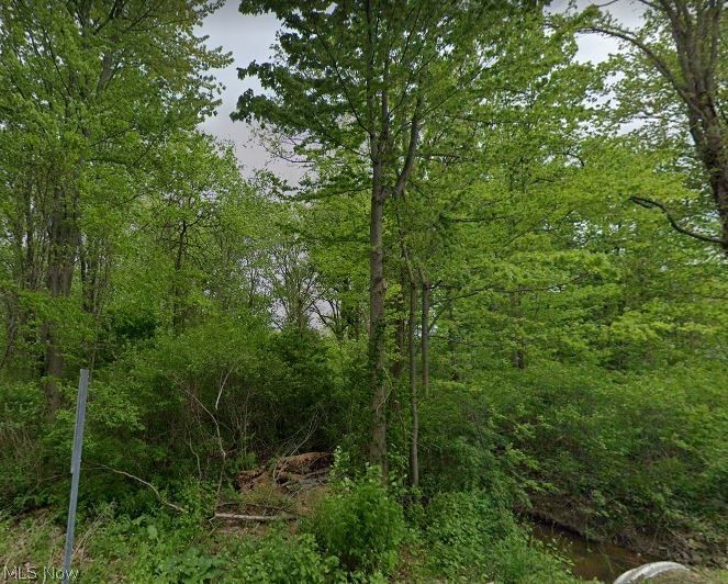 A great, wooded lot available in Perry! Nestled in a desireable residential neighborhood, close to schools, shopping, and a community
fitness center.