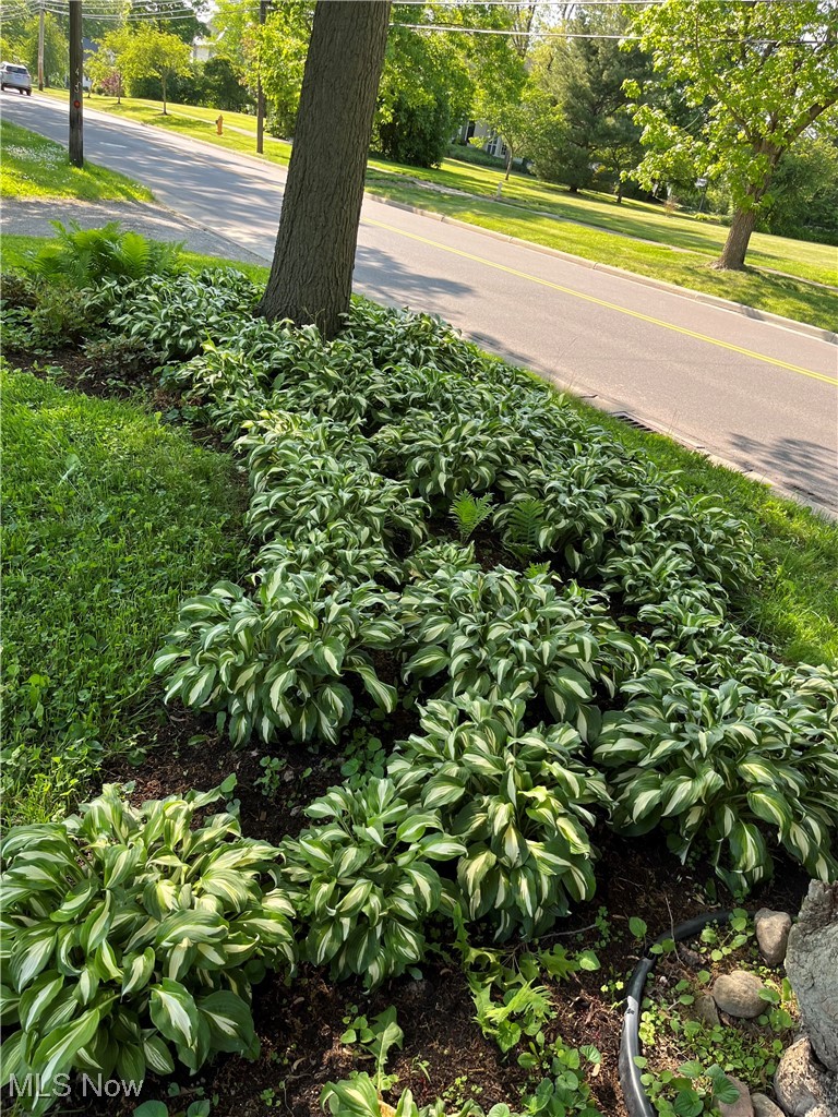 College Park Add - Residential