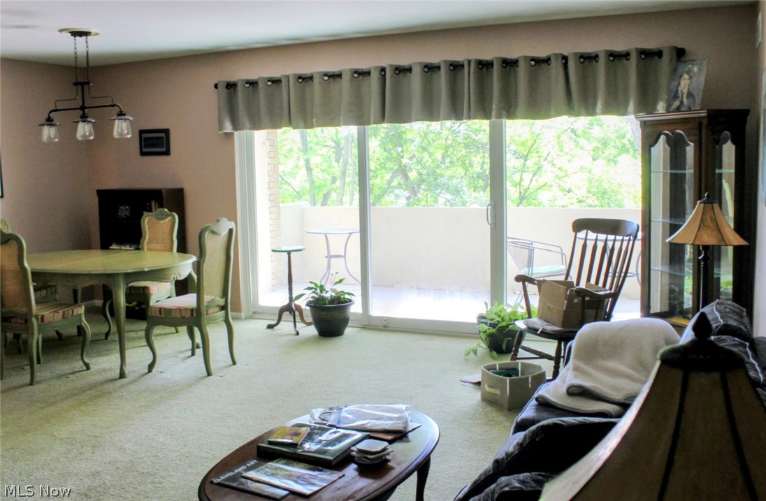 Cliff Towers Condo - Residential