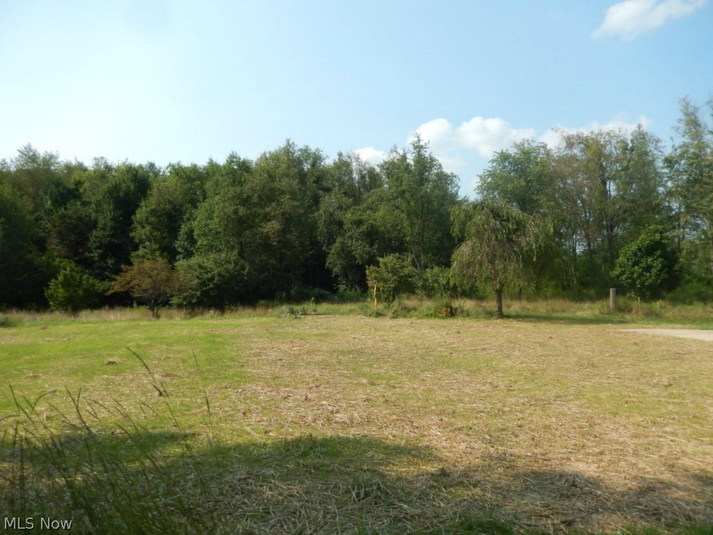 29 Fabulous acres includes a barn, outbuildings, lake, oil and mineral rights.  Two wells and septic.  Land has been cleared for home site.  Tranquil beautiful setting.  Gas is free to owners.  Your own little piece of paradise.