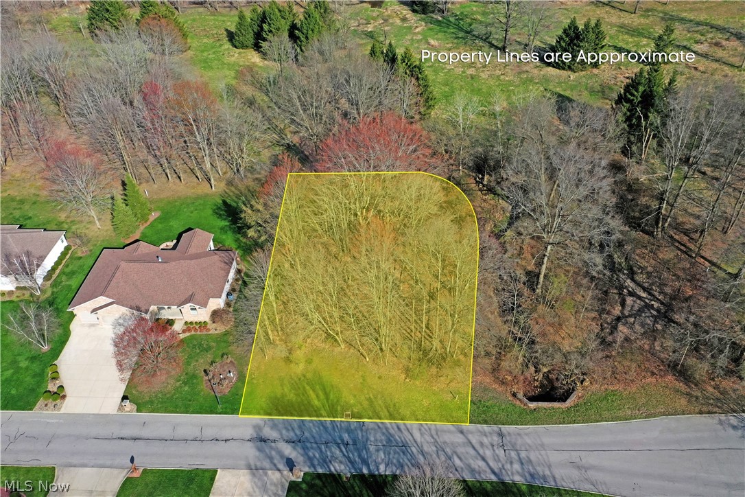 Build your custom home in the desirable Walnut Run Estates subdivision in Cortland. This 0.33-acre residential lot offers public water and sewer, making it a convenient option for new construction. Located in Mathews Local School District, this property provides an opportunity to bring your own builder and design a home that fits your needs. Deed restrictions apply. Established neighborhood setting with easy access to local amenities.