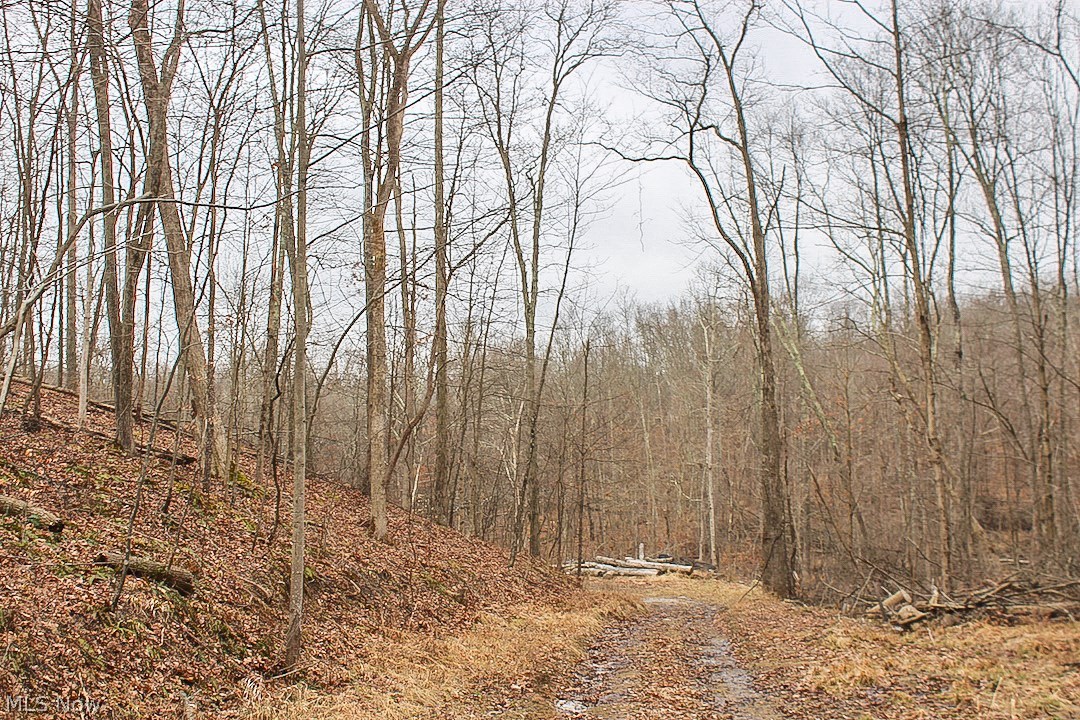12 acres for sale in Guernsey County, Ohio. A great location to build your home or cabin. You could also just use it for hunting and recreation. Easement for access and driveway already cut in. Just a couple minutes drive to Senecaville Lake and not far from Interstates 70 & 77. Call today before it's gone.