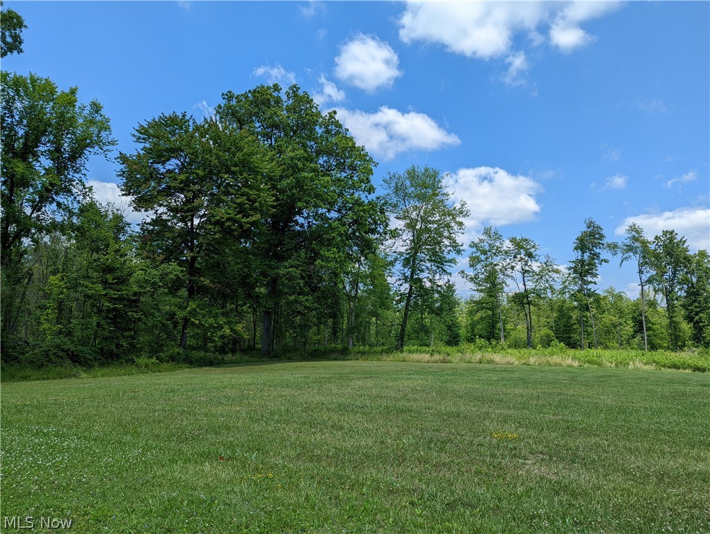 Champion Township - Land