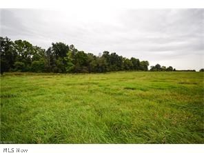 Great lot! Perfect for a mini farm!  Woods to the left of the property and wide open farmland to the right creates the perfect setting!  Lot will need well and septic.  Gorgeous setting, won't last long!  They aren't making anymore land so here's your opportunity!