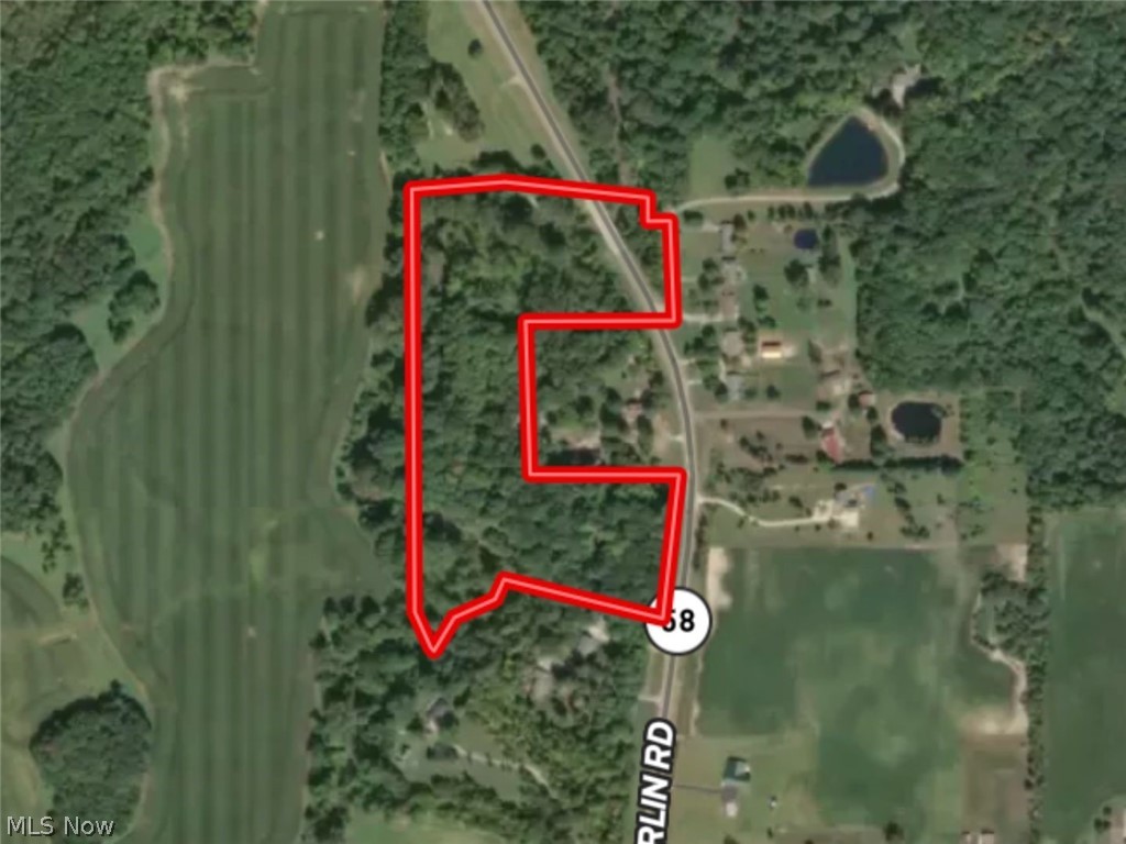 Discover a rare opportunity to own 17.53 +/- beautiful wooded acres just north of Wellington off SR 58 in Lorain County. This one-of-a-kind property features an impressive stand of mature red oak, poplar, and hard maple timber, along with a young crop of walnut trees in the bottom, offering excellent future value potential. A winding trail leads through the property to a stunning potential build site tucked in the middle of the woods overlooking the scenic Black River. Wildlife is abundant with many well-used deer trails, fresh turkey scratchings, and tracks throughout the property. Enjoy amazing views, peaceful seclusion, and direct access to excellent outdoor recreation, including fishing opportunities in the Black River. All seller-owned mineral rights will transfer. A truly special property with endless possibilities for recreation, hunting, or building your dream home or getaway cabin.