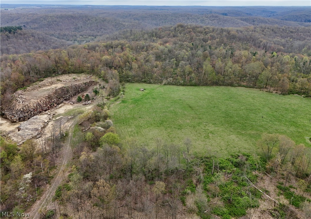 Auction Day is Friday, June 7th, 2024. Real Estate sells at 2:00 PM. Parcel 7: 28 acres. Open & Wooded. 250’ Road Frontage.