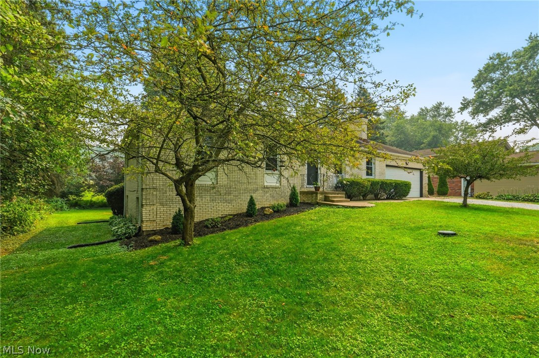 Holly Hills - Residential