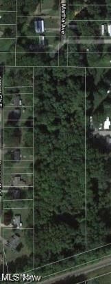 Prime 6.57-Acre Wooded Lot in Geneva Township – Build Your Dream Home! Discover the perfect blend of privacy and convenience with this beautiful 6.57-acre parcel in desirable Geneva Township. Spanning approximately 289 feet of frontage and 1,122 feet deep, this wooded lot offers plenty of space for your custom home, outbuildings, and more—while still enjoying the serenity of nature. With utilities available at the road, this lot is ready for your vision.