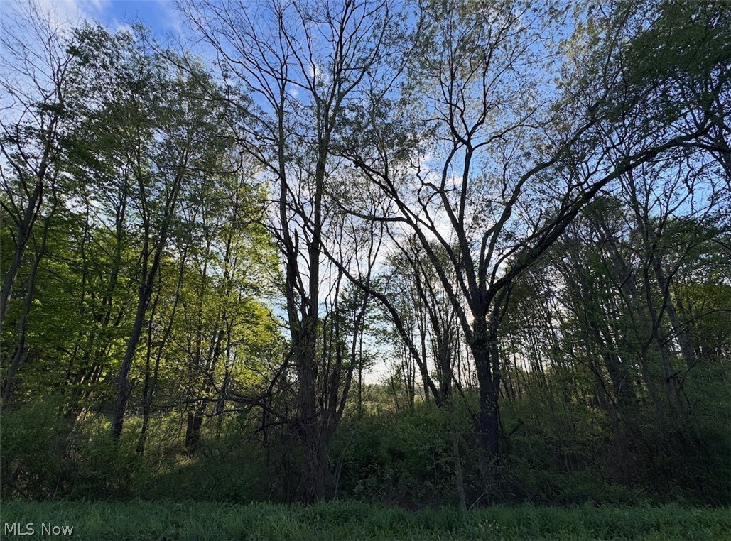 Windham - Land