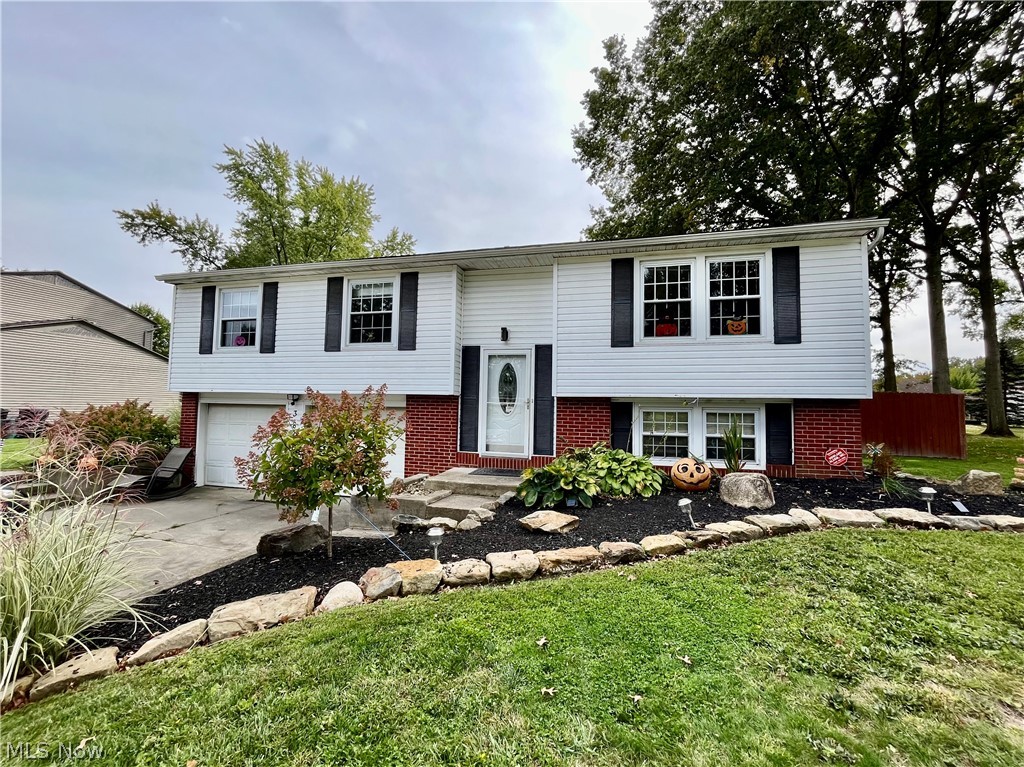 Albion Heights - Residential