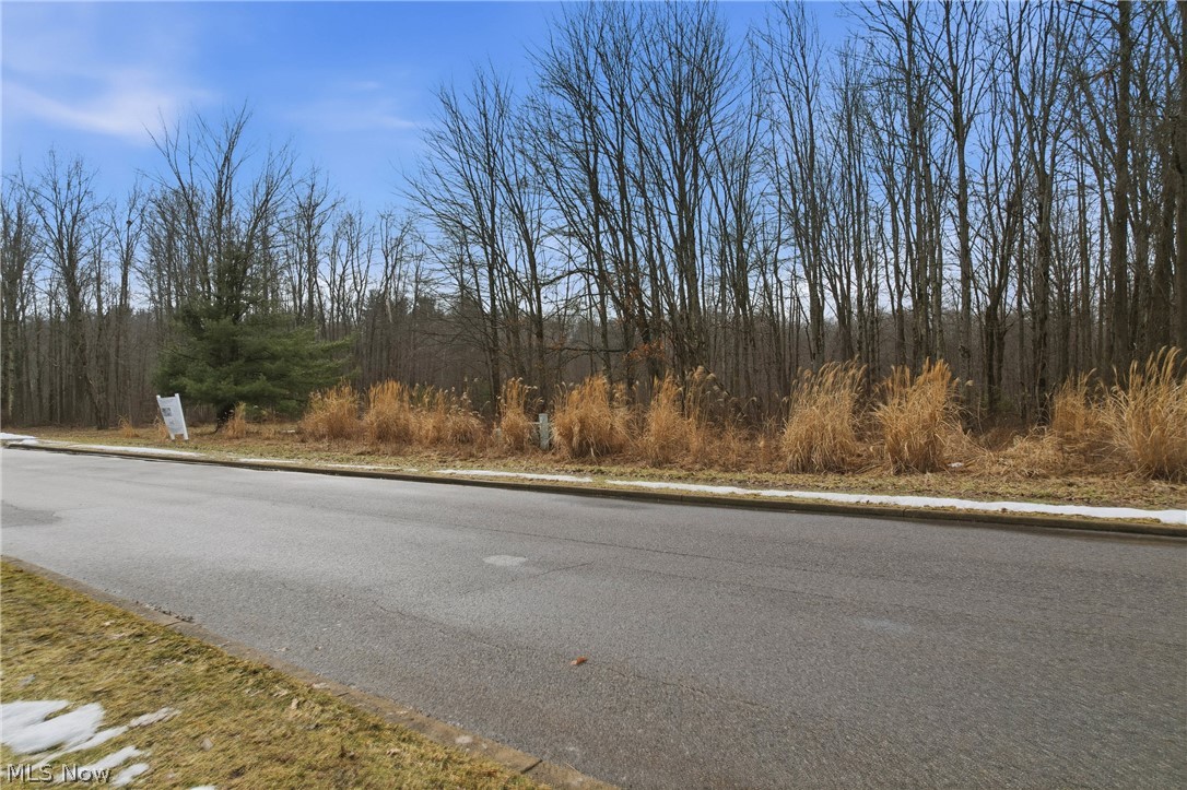 Old Warner Trail - Land