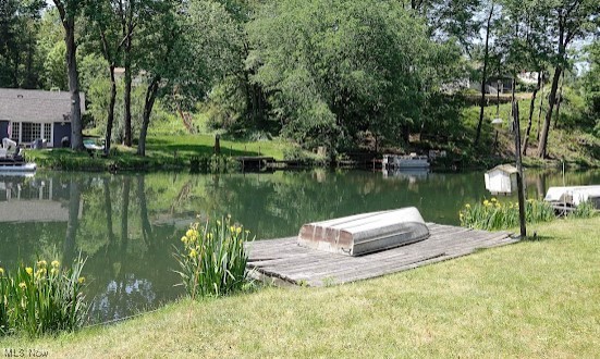 Willowdale Lake - Land