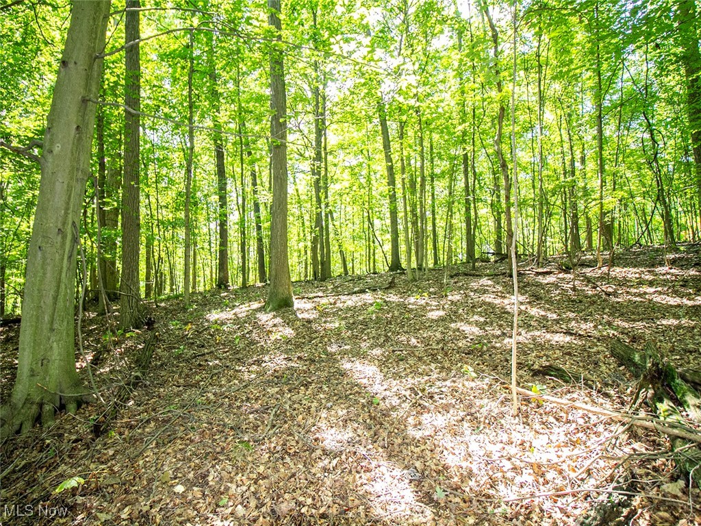 Land for sale in Richland County, Ohio.  Very hard to find, 3.26 wooded acres in Bellville, Ohio.  The property lies flat from the road and has two perfect areas for a driveway off the road.  Open woods with some mature trees.  Approx. 230 ft. of frontage on Mishey Rd.  Close to Mohican State Forest, Pleasant Hill Lake, and Malabar Farm.  Clearfork Schools.  This would make a great potential home or cabin site.  Seems to be a lot of wildlife using the property.  The property is mostly bordered by woods.  Approx. Boundary lines are marked with orange ribbons, and the two potential driveway locations are marked with pink ribbons.  Don't miss out on this property in the heart of the Mohican Valley.