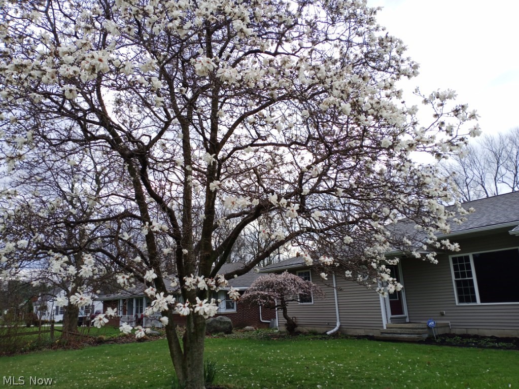 Knollwood - Residential