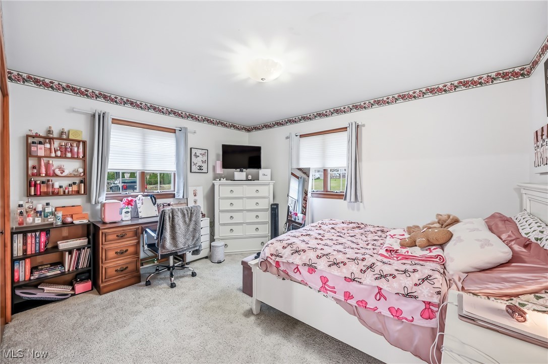 Bazetta Township Sec 88 - Residential