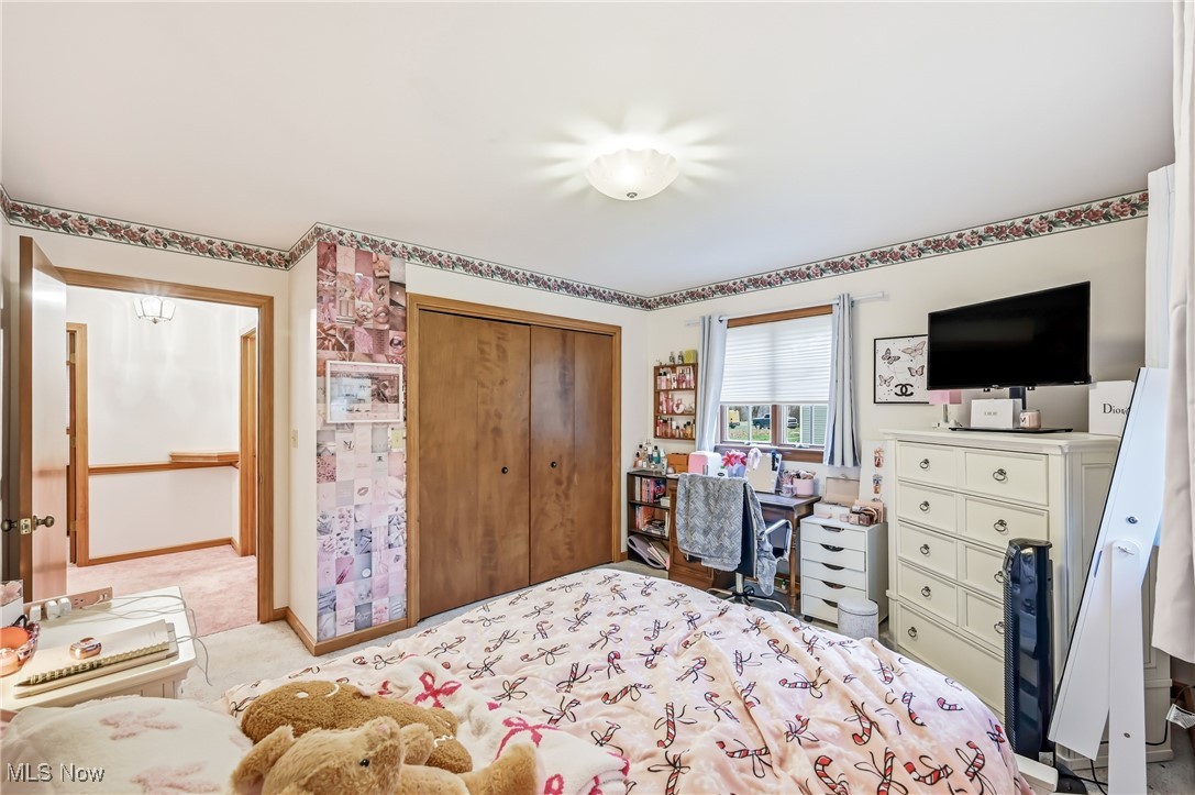 Bazetta Township Sec 88 - Residential