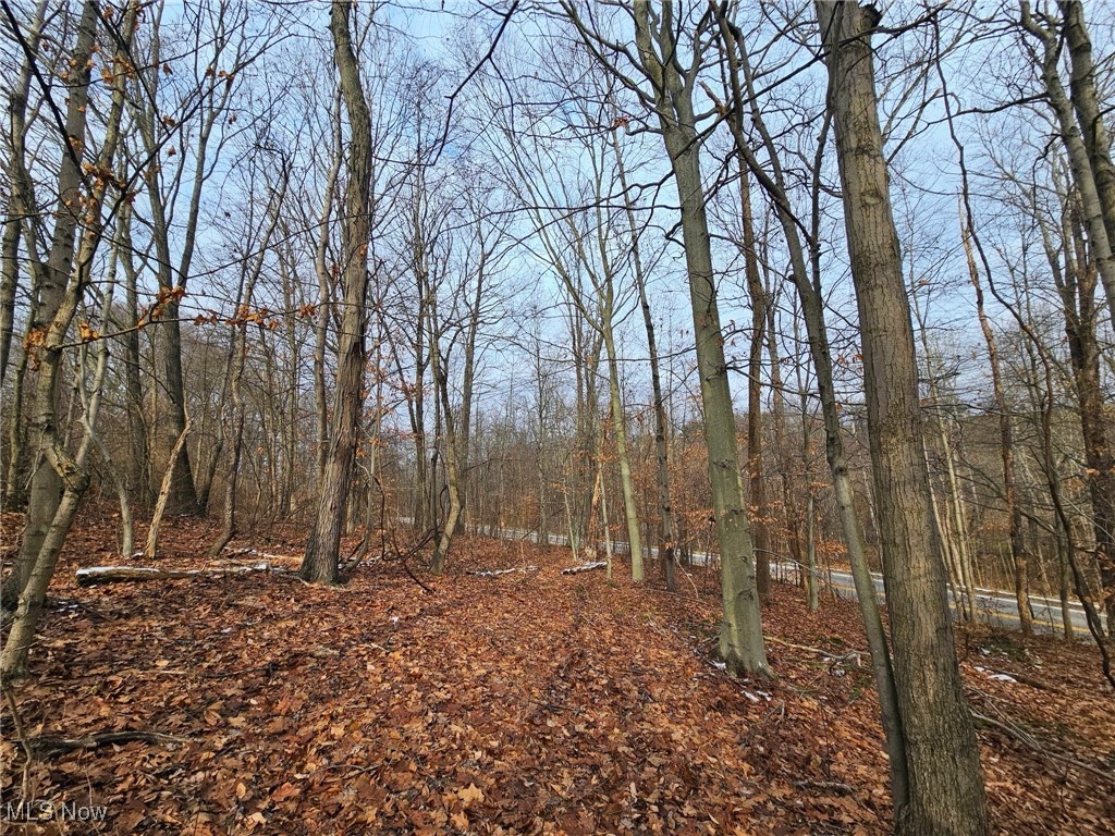 Here is an affordable 13-acre tract of land with a hunting cabin! With a nice mixture of wooded and open, there is great deer sign throughout the property! Cabin has wood heat and has a generator hookup for electricity. Come check this one out!