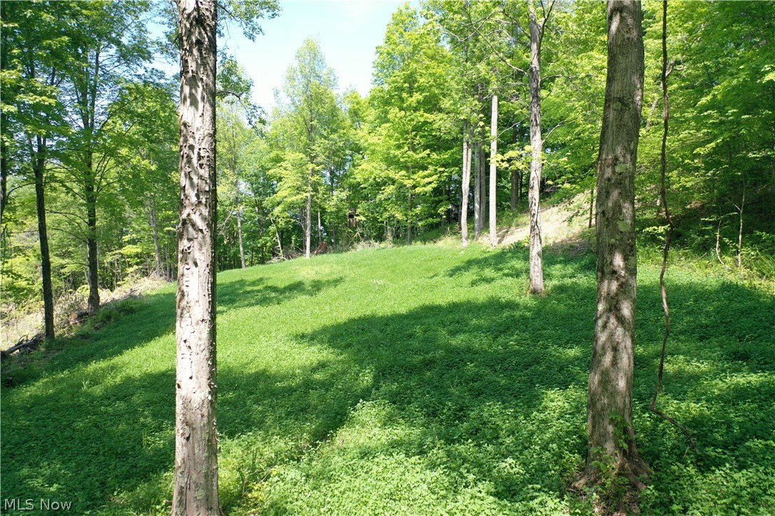 Amazing Views at this Hunter’s Oasis. Call for a showing:
Here’s one of those properties that offers a something for everyone. Seclusion, amazing hilltop vistas, and proven hunting. Offered in 3 separate parcels, each tract has its own unique features that make it very desirable to a hunter or simply if you’re looking for that property to get away from the hustle and bustle. 
• Tract #1 is approximately 55 acres and is accessed via a shared driveway easement. An amazing hilltop view coupled with a camper site, several food plots, and a hunting blind. 
• Tract #2 is approximately 85 acres and is accessed via a shared driveway easement. Features several food plots, a hunting blind, and a camper site that has hilltop views that will amaze you. 
• Tract #3 is approximately 75 acres and is accessed via a shared driveway easement. This tract is all wooded, has a small pond and features a camper site, food plot and hunting blind. 
Buy all three tracts for a premier get-away property that