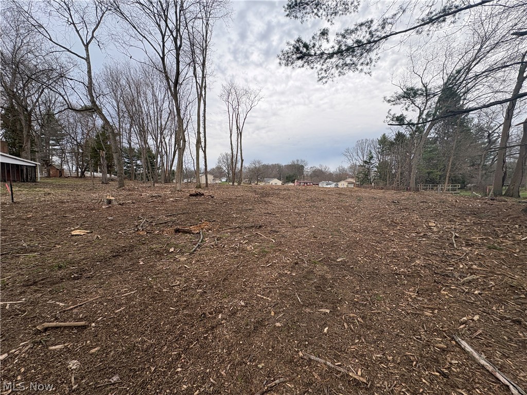 Earley Woodlands - Land