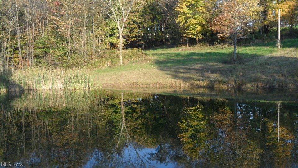 15.3 Acres within 2 miles of Carrollton!  Septic system installed in 2008 and water well drilled in 2009.  Access to city water is also available.  1 acre stocked pond, pavillion, storage shed, 4 acres wooded with riding/hiking trails.  Awesome home site in a country setting.  No mineral rights to transfer.   Includes parcels 34-0000044.005 and 34-000044.066