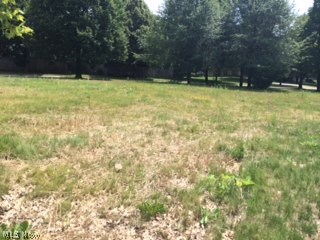 Park Meadows - Land