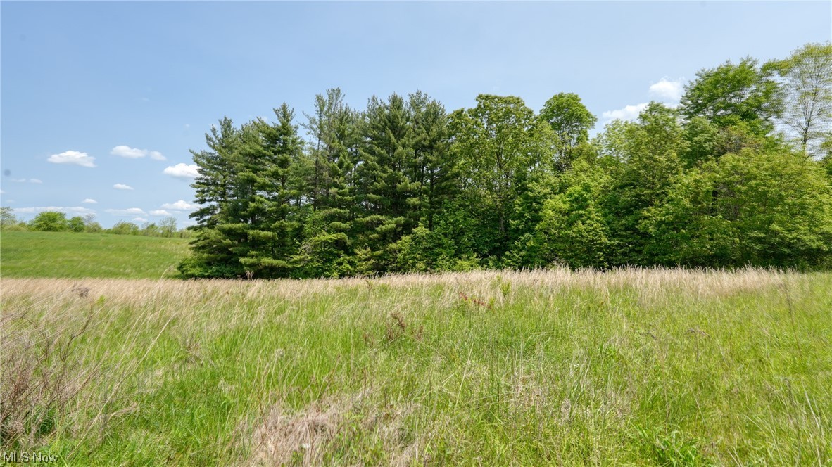 A blank slate ready for your Vision.... Bring your Dreams to reality with the peace and serenity from this private subdivision located within one mile to I70 and less than ten minutes to the I70/77 interchange. With less than one hour to West Virginia, Columbus or Canton this convenience makes for the perfect location if traveling from home. The tree lined lots are equipped with underground utilities to include electric, cable and county water. Septic is the buyers responsibility. Buyer to sign Covenants, Restrictions and Easements for Washington Estates. All offers contingent on review of building design. Buyer may choose builder of choice. Homes must be completed within one year of purchasing lot with all landscaping in place. You may purchase more than one lot, limit of two. Lot 10 listed.