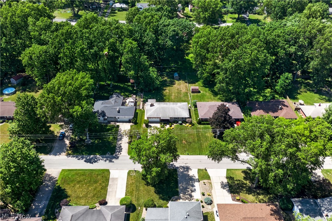 Surrey Hills - Residential