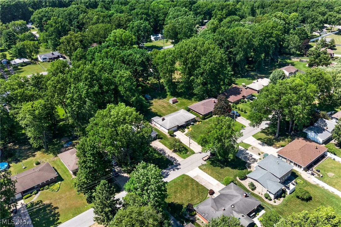 Surrey Hills - Residential