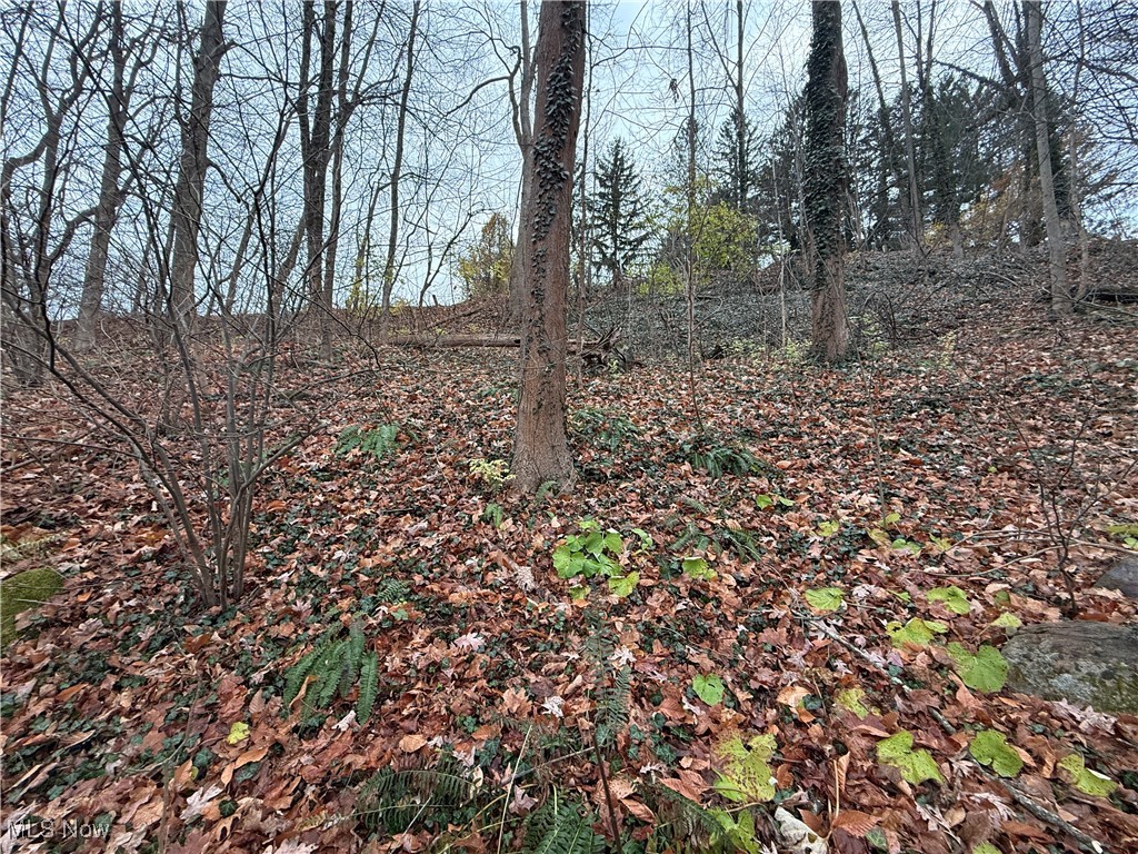 Oak Knoll Estates - Land