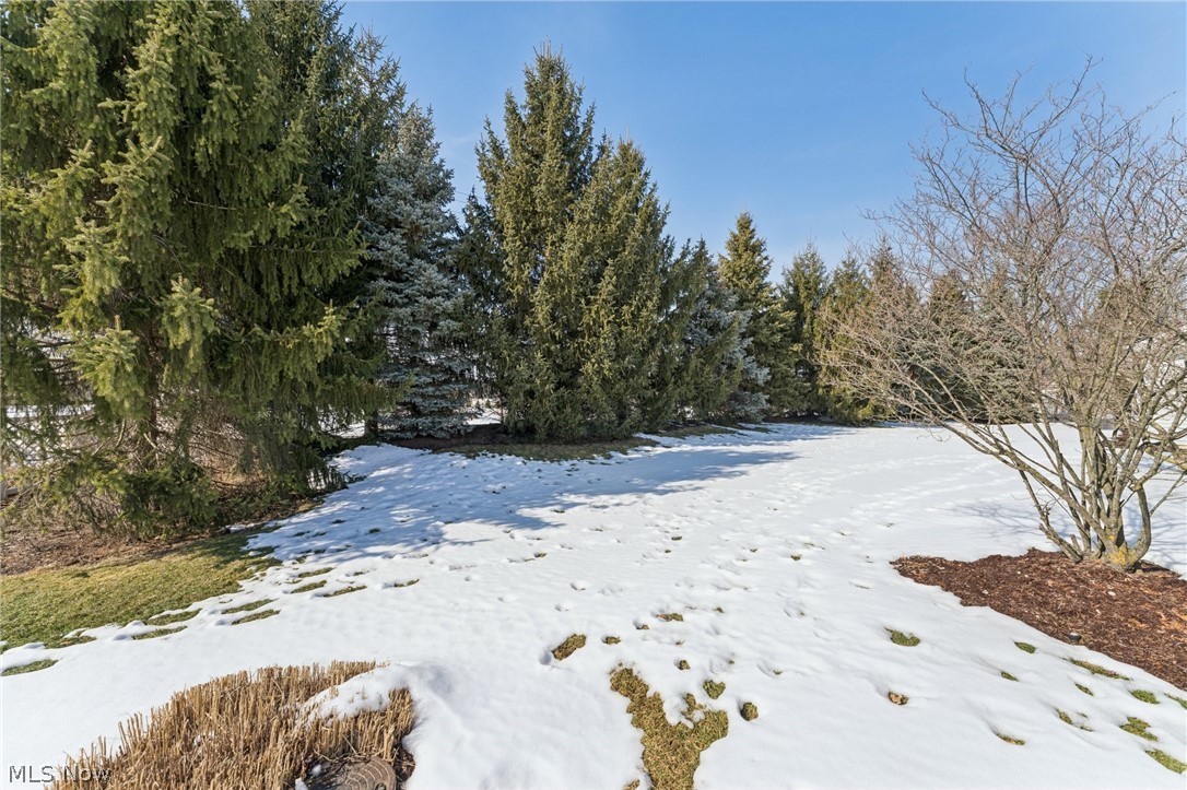 Arbors of Bridgewater Crossing - Residential
