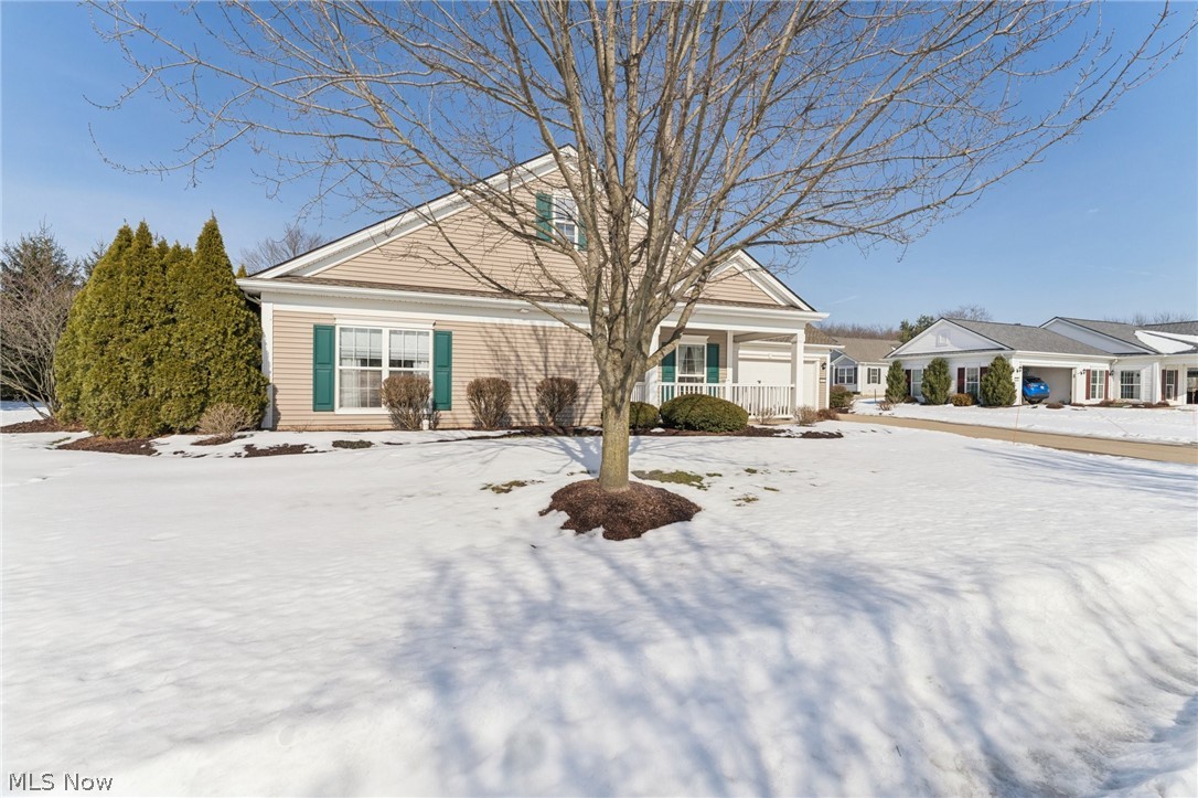 Arbors of Bridgewater Crossing - Residential