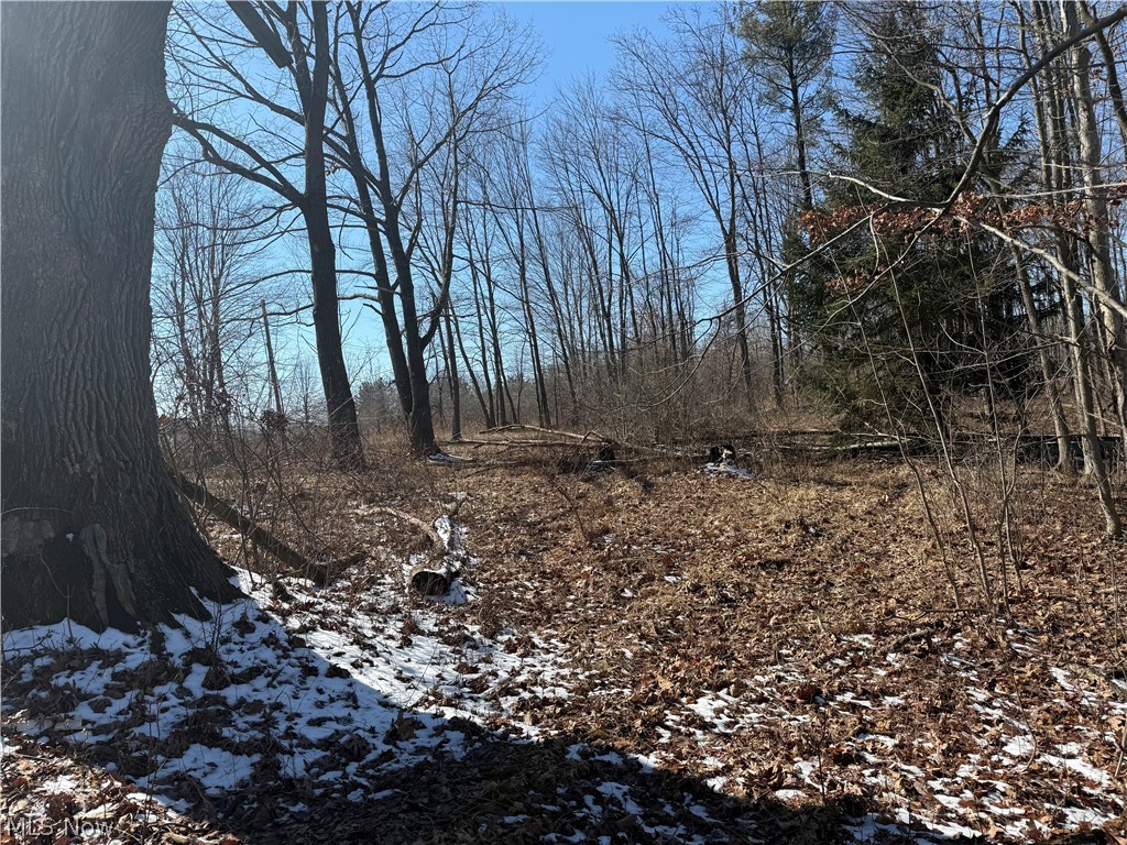 Mh Co - Land