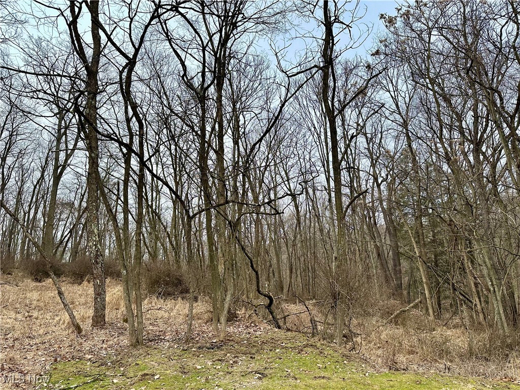 11+ Private, wooded acres in the heart of the city - Build your dream estate! Escape to your own private retreat while staying just minutes from city conveniences! This rare 11-acre wooded property offers the perfect blend of seclusion and accessibility, making it ideal for a custom home, private estate, or an investment opportunity. With its prime location, enjoy the best of both worlds with serene nature and urban amenities close by. This buildable land is ready for your dream home, multi-home development, or investment project while the mature trees provide privacy and natural beauty. This property offers endless possibilities, create your own oasis, add trails, sell the timber, or develop to suit your needs. Regardless - opportunities like this are rare! Don't miss out on owning 11+ acres of untouched beauty in a desirable location!