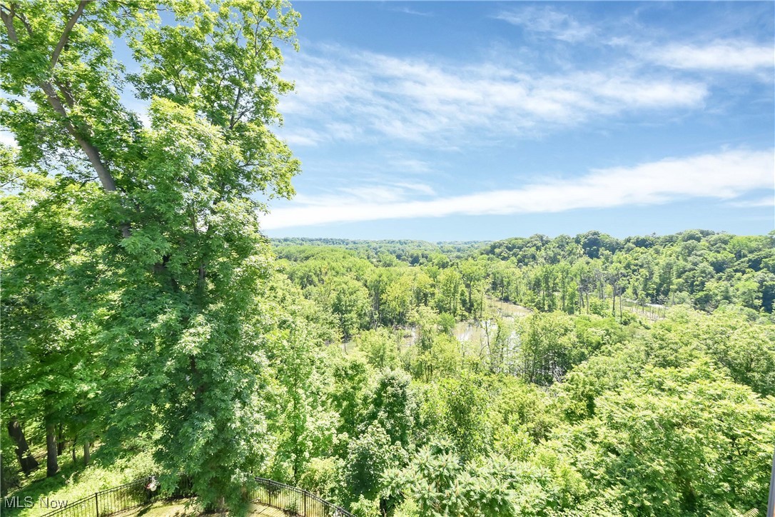 RiverSouth - Residential
