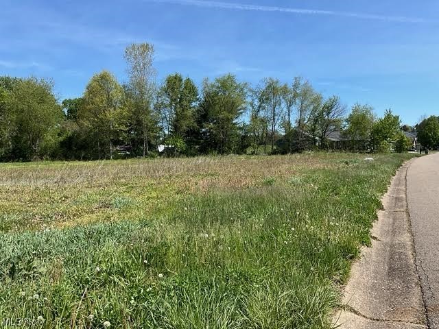 Looking for a great home building site look no more. This site has a nice country feel. Very close to 77. Will not be close to other homes with having 2+ acres to work with. Close to golfing, swimming, stores, tow path, and several good eating places. This would be a great place to build some rental properties also. The opportunities are limitless.