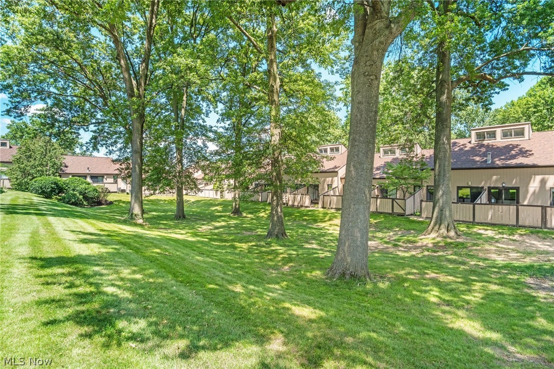 Trail View Terrace Condo - Residential