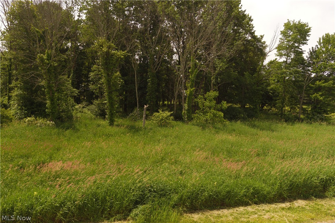 Randolph - Land