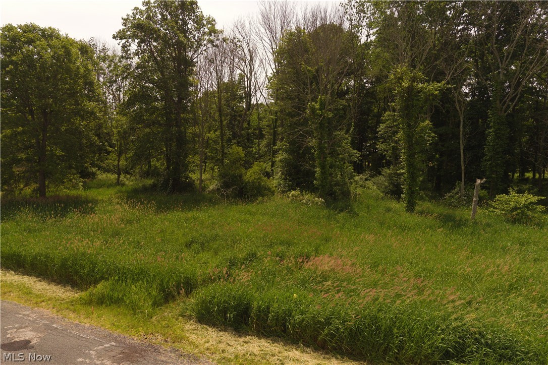 Randolph - Land